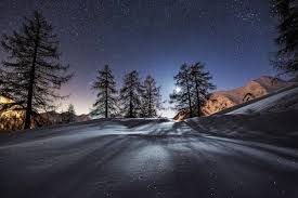 2560 x 1600 jpeg 330 кб. Green Pine Trees Illustration Winter Landscape Night Snow Hd Wallpaper Wallpaper Flare