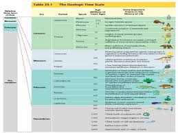 Cambrian Ordovician Periods