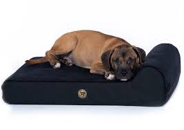 Godog bed bubble bolster with chew guard technology. Chew Proof Dog Beds Indestructible Dog Mattresses For Sale