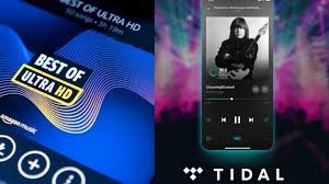 Oltre 70 milioni di brani in hd e milioni di brani in ultra hd. Amazon Music Hd Vs Tidal Comparison 2021 Viraltalky