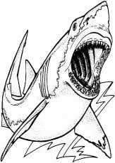 Each printable highlights a word that starts. Drawing Jaws Coloring Pages Best Place To Color Coloring Home