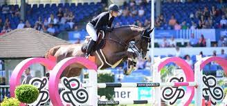 Check spelling or type a new query. Der Traum Von Tokio Begann Bei Der Fruhjahrsauktion In Elmshorn Spring Reiter De