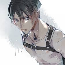 pin on attack on titan levi