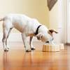 Story image for food news articles from Food Business News