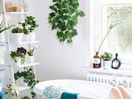 Tropical flowers for your home. Best Artificial Plants For Brightening Up Your Home In 2020 Spy