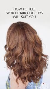 The Easy Way To Find Your Perfect Hair Colour Hair Romance Perfect Hair Color Perfect Hair Which Hair Colour
