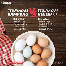 Maybe you would like to learn more about one of these? Evolene Telur Dikategorikan Sebagai Superfood Karena Facebook