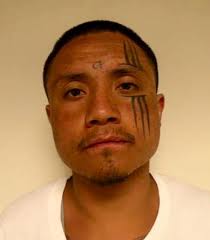 Fort Hall Police Department