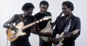 Image result for Albert Collins
