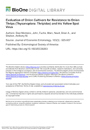 Evaluation of Onion Cultivars for Resistance to Onion Thrips (Thysanoptera:  Thripidae) and Iris Yellow Spot Virus