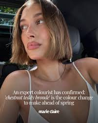 It's official: teddy bear-inspired golden and chestnut bronde hues are set  to be this season's cool girl hair colour 🐻 From #HaileyBieber to  #Zendaya, find all the celeb chestnut hair inspo you