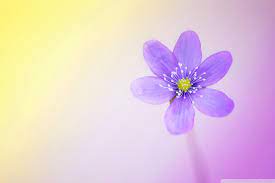 Desktop Backgrounds Triathlon Wallpapers Triathlon Wallpapers Cute Desktop Wallpaper Hd Cute Wallpapers Hello Spring Wallpaper