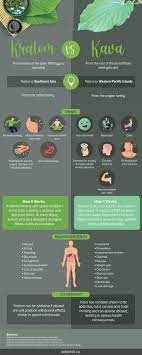 Kratom Vs Kava Everything You Need To Know Soberish