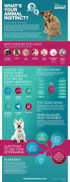 Depending on the specifics of your problem, here are some effective solutions that will transform a grumpy pooch into a calm pup. Nick Lachey Encourages Dog Owners To Test Their Animal Instincts To Help Understand When An Itch Is More Than Just An Itch Business Wire