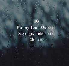 203 raindrops on leaves quotes. 40 Funny Rain Quotes Sayings Jokes And Memes