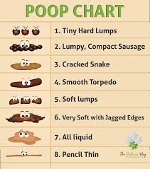 poop check: what number 2 is telling