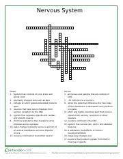With a pencil and an eraser. Crossword Answer Key Pdf Nervous System 1 2 P E R I C P H E R A L N E R V O U S S Y S T E M N T 3 R A A L 5 A F 11 D E N D R I E 7 4 T 6 N F C A U R E Course Hero