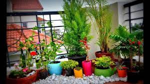 However, with urban living in small apartments, often, the balcony or terrace is the only option for setting up a small garden. Apartment Small Balcony Garden Design Ideas Youtube