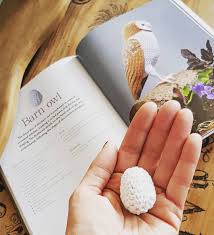 Barn Owl Egg From Crocheted Birds Book Barn Owl Bird Book Owl