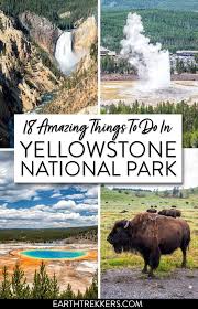 18 Best Things To Do In Yellowstone National Park In 2020 National Parks Trip Yellowstone National Park Vacation National Park Vacation