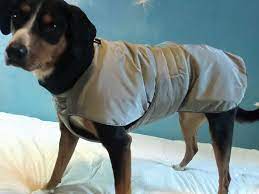 Jetzt müssen sie die ärmelausschnitte umsäumen und eventuell enger nähen. Hundemantel Frida Unser Wintermantel Frida Ist Euer Optimaler Begleiter In Der Kalten Jahreszeit Futter Und Kr Hunde Mantel Wintermantel Hund Hundemantel