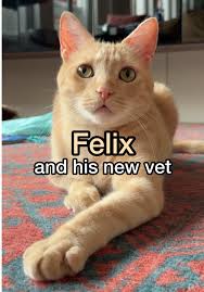 Fifi's Trip to the New Female Veterinarian