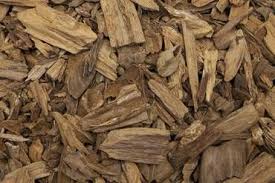 كايهوديك العود الحي عود البركة september images wood image