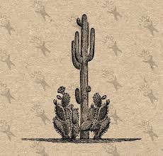Want to make sure your writing always looks great? Vintage Graphic Desert Cactus Cacti Wild West Texas Instant Etsy Vintage Graphics Drawing Images Digital Backdrops