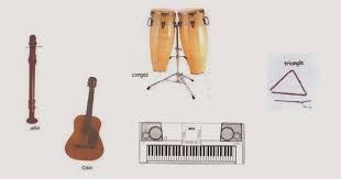 Pengertian Alat Musik Membranophone