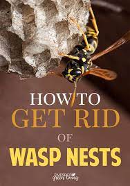 Spray until you can't spray anymore. How To Get Rid Of Wasp Nest Five Spot Green Living