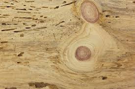 How To Make Realistic Worm Holes In Wood Part One In 2020 Barn Wood Rustic Furniture Wood