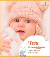 Brent Name Meaning, Origin, History, And Popularity