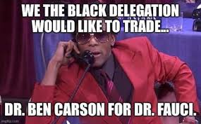 These Dr. Fauci Memes Won't Cure Coronavirus, but They Will Make ...