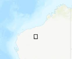 Image result for Buchnera pusilliflora