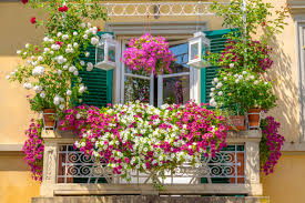 Sep 28, 2019 · piante ricadenti da interno. Fiori Da Balcone I Tipi Per Un Balcone Al Sole All Ombra O A Mezz Ombra
