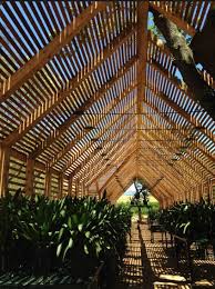 To Protect Clivias From Harsh Sunlight Store In A Garden Shed In Off Season Our Modern Wood Garden Shed Lets Ha In 2020 Modern Garden Shade House Garden In The Woods