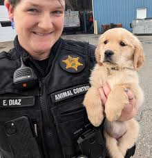 SKAGIT COUNTY SHERIFF'S OFFICE 2023 ANNUAL REPORT