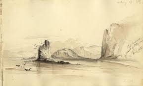 As he examined the bones of. The Beautiful Drawings By Darwin S Artist In Residence Science Smithsonian Magazine