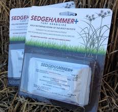 Maybe you would like to learn more about one of these? Sedgehammer Plus Stone Brothers