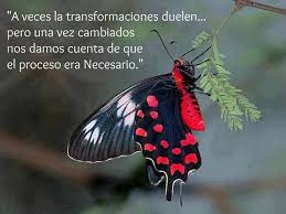 El Proceso De Transformacion Duele Pero Es Necesario Me Duele Frases Imagenes Para Estados