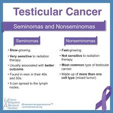 There are several differences between seminomas and nsgct, but the initial distinction is based on how the tumor looks under the microscope. Testicular Cancer Cancer Education And Research Institute