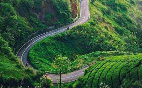 Maybe you would like to learn more about one of these? Menikmati Sejuknya Kebun Teh Kemuning Peninggalan Belanda Okezone Travel
