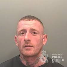 The frankly appalling excuses criminals in Wales have tried to use this  year