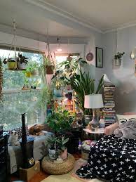 Using Oil Diffuser Without Oil As Plant Humidifier Indoorgarden Room With Plants Hanging Plants Indoor Plants