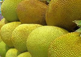 Read This Before You Lug Home That Jackfruit Jackfruit How To Prepare Jackfruit Canned Jackfruit