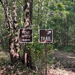 Guided Nature Walk & Bird Identification Experience