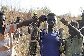 Image result for Lassa Fever