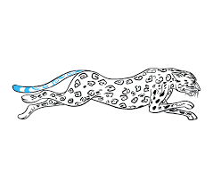 Draw two lines on the sides of the nose for nostrils. How To Draw A Cheetah In A Few Easy Steps Easy Drawing Guides
