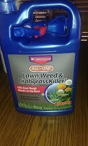 Amazon.Com : Bonide Weed Beater Ultra, 32 Oz Concentrate Fast-Acting  Protection Against Broadleaf Weeds In Warm & Cool Weather : Fertilizers :  Patio, Lawn & Garden