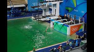 Jun 11, 2021 · steele johnson, who won a silver medal alongside david boudia at the 2016 olympic games in the synchronized platform event, has announced that he will be pulling out of this year's u.s. Green Not Gold Color Of The Day At Olympic Diving Pool 10tv Com